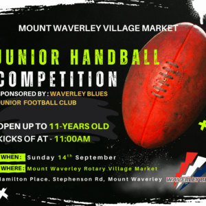 Junior Handball Competition: Mount Waverley Village Market
